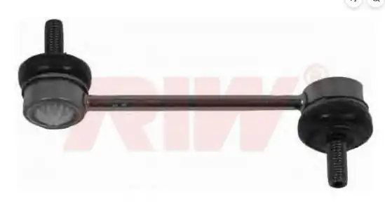 RIW PE4009 | Stabilizer Z Rotu Arka Sağ Sol 407 508 C5 III C6 05 12