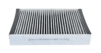 BSG 65-145-013 | Polen Filtresi Insignia A Astra J Cruze Mokka Meriva B Bm 09 -