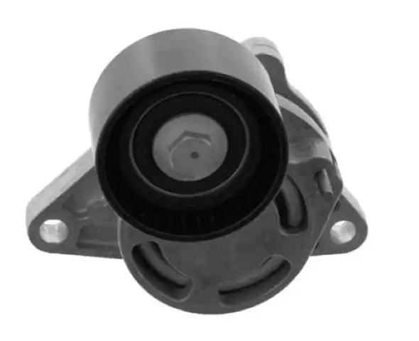 BİTAPART BRE181005 | Alternatör Gergi Rulmanı Kütüklü Renault Clio II 01 06 Megane II 02 08 Kangoo