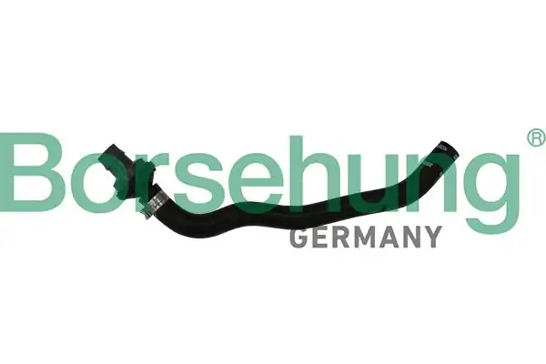 BORSEHUNG B11971 | Vakum Borusu Çek Valfi 1 8 TFSI Cdaa Cdab