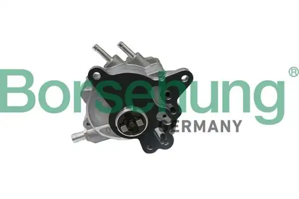 BORSEHUNG B17906 | Vakum Pompası Golf5-Passat-A3-A4-A6 Bkp-Bkd-Blb-Brebmr-Cbab 2.0 TDI (Prg7.02551.12.0)