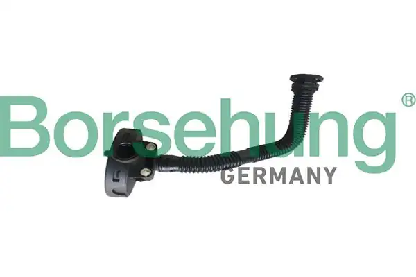 BORSEHUNG B19055 | Emme Manifold Hava Valfi Jetta Polo Cordoba Ibiza Fabia Rapid Febi178472
