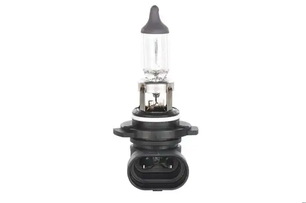 BOSCH 1987302083 | Ampül Pure Lıght H10 12V 42W | 10 Adet