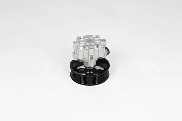 BSG 15-355-029 | Direksiyon Pompası Land Rover Range Rover Discovery III Sport 2 7 D 2 7 TD 05 13