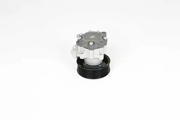 BSG 15-355-030 | Direksiyon Pompası Land Rover Range Rover III 3 6 06 12
