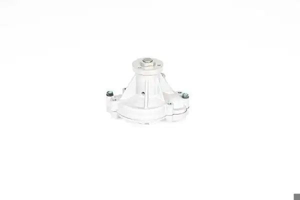 BSG 15-500-036 | Devirdaim Land Rover Range Rover III-Sport-Discovery III 4.2-4.4 04-13