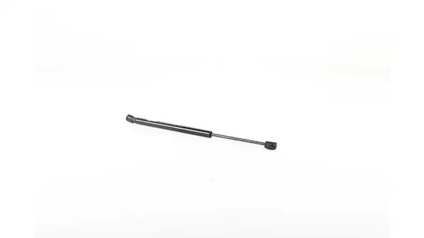 BSG 15-980-073 | Motor Kaput Amortisörü Mini Clubman F54 Bm 14 18