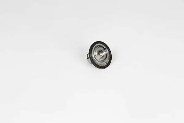 BSG 16-125-006 | Termostat Aveo T250 / T255 B12d1 F14d3 08-13