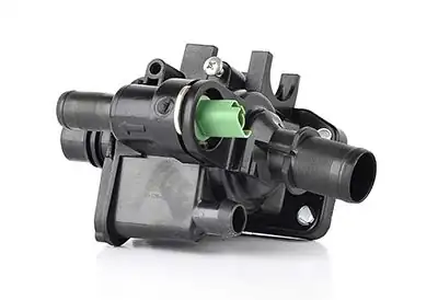 BSG 30-126-009 | Termostat Yuvası Fiesta / 206 / C2 / C3 / 307 / Bipper 1.4 HDI / TDCI 02-08