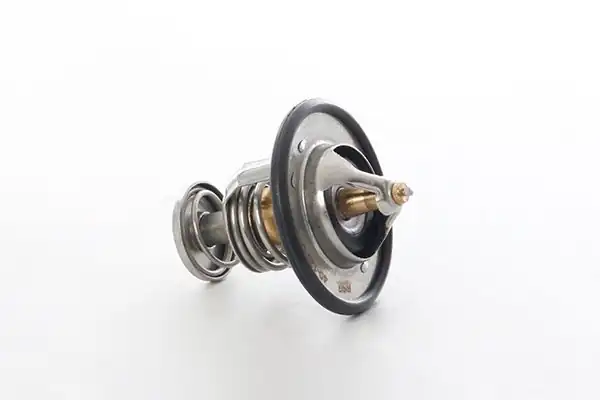 BSG 40-126-008 | Termostat Starex / H100 Kmy / Bongo / K2500 / Pregıo 2.5 Dizel 97 -