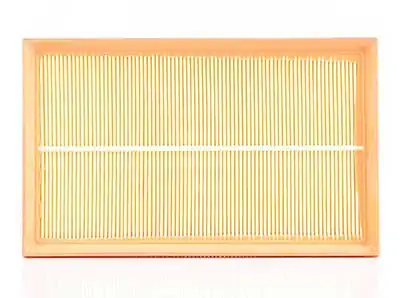 BSG 60-135-011 | Hava Filtresi W124 M111 93 95
