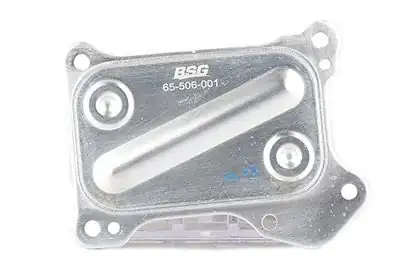BSG 65-506-001 | Yağ Soğutucusu Corsa C Combo C Aveo Fiat 500 500C 500L Doblo Fiorino Punto Evogrande Idea Panda Z13dt Z13dtj 04 -