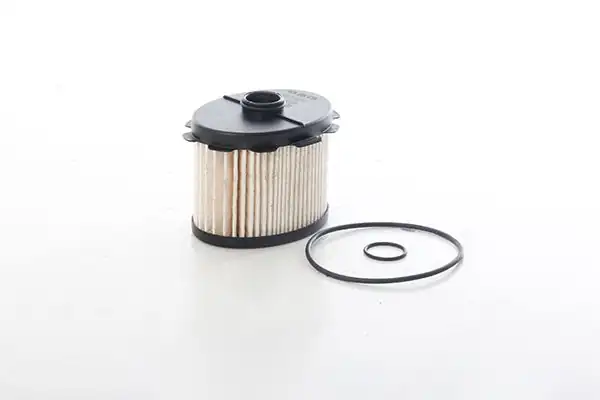 BSG 70-130-011 | Yakıt Filtresi Partner / Berlingo 1.9 Dw8 99 -