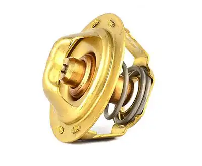 BSG 90-125-004 | Termostat Golf4-Bora-Polo Classic-Passat Akl-Aft-Adr-Alz-Aeb-Awt-Bkp-Bkd-Cbab-Cbda 1.6-1.8-2.0 TDI 97 -