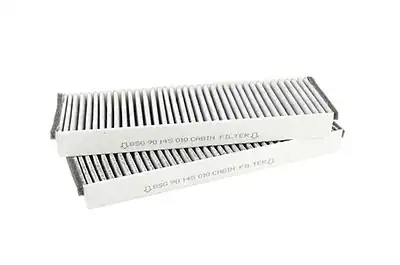 BSG 90-145-010 | Polen Filtresi A6 Bm 05 11