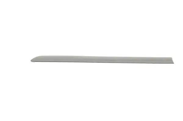 BSG 90-924-027 | Kapı Bandı Arka Sol Golf5 Bm 04 10
