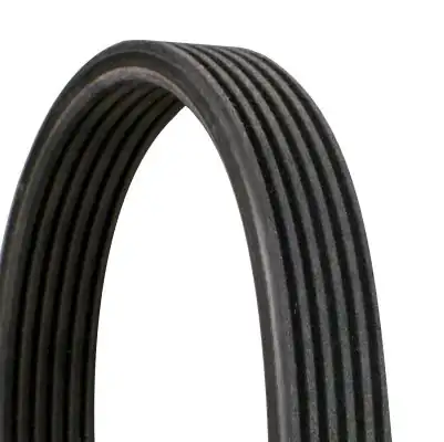 Continental Ctam 6dpk1853 Kanallı V Kayışı 911 Carrera Ma1 03 3 8 12