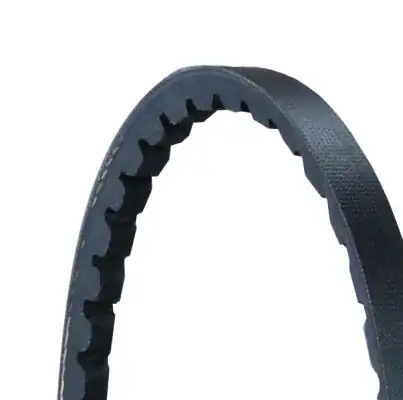 CONTINENTAL CTAM AVX10X700 | Contınental Ctam / Kayış Vantilatör Üniversal