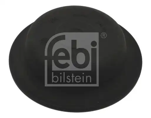 Febi Bilstein 06889 Fren Silindir Mebrani Mercedes Scania Volvo