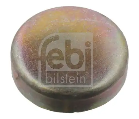 Febi Bilstein 07295 Silindir Kapak Tapası Büyük Daf 45mm Bmw Daf Xf95 50 Adet