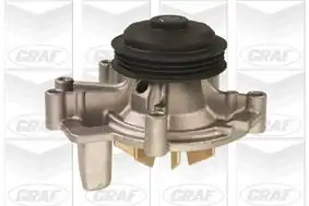 GRAF PA684 | Devirdaim Peugeot Boxer Fiat Ducato Citroen Jumper 2 5 TD 96