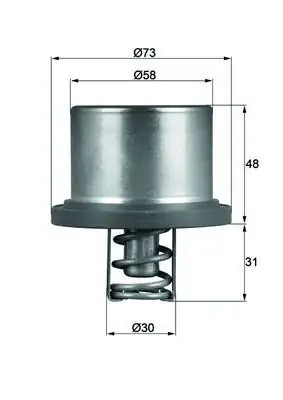 MAHLE THD289 | Termostat 89°C Porsche Cayenne 955 3.6 4.8 07-10