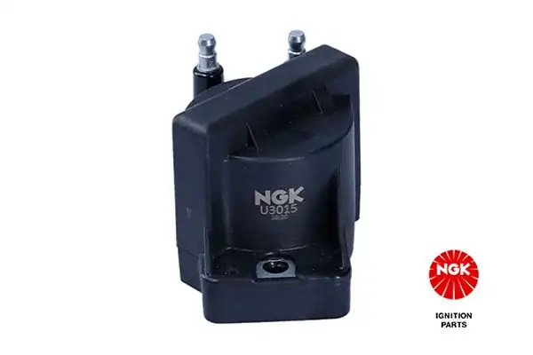 NGK 48218 | Chevrolet Camaro 5.7 3.8 Cadillac 4.6 Ateşleme Bob