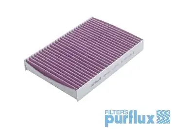 PURFLUX AHA143 | Kabin Filtresi Karbonlu Renault Megane III Clio II Kango 98 Megane İ 96