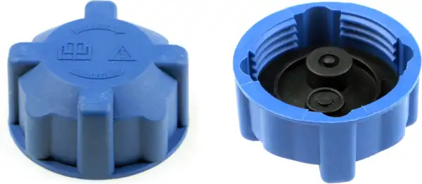 Rapro 66110 Genleşme Sısesı Kapağı Fiat Alfa Romeo Peugeot Citroen