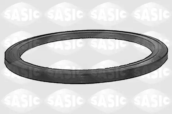 SASIC 1190140 | Krank Keçesi Arka Boxer Jumper Ducato Dj5 Dj5ted 98 120x7