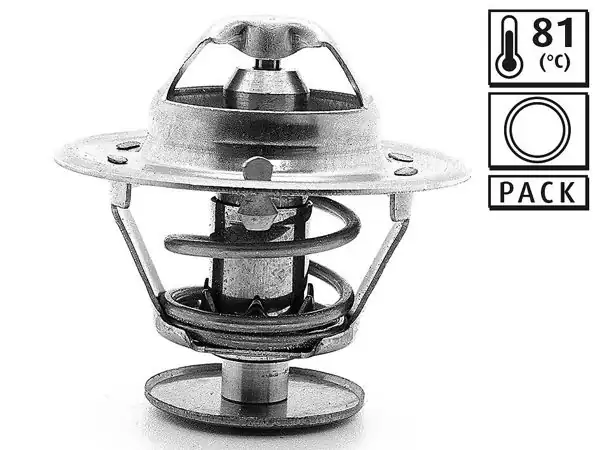 VALEO 819882 | Termostat Alfa Romeo Fiat | 5 Adet