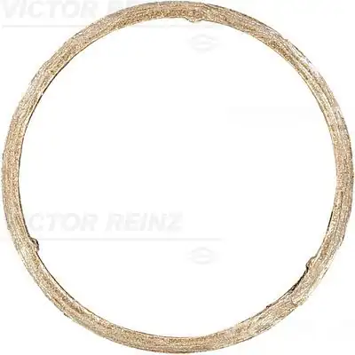 VİCTOR REİNZ 71-11399-00 | Bmw F20 F30 Katalizatör Boğaz Contası 18307553601 1621858