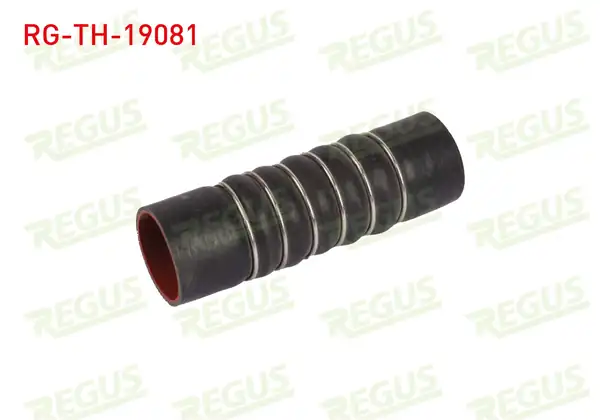 REGUS RG-TH-19081 | Turbo Hortumu Ford Fiesta VI 1.6 TDCI 2008-2012