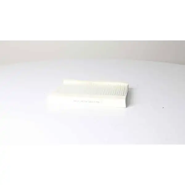 BSG 25-145-004 | Polen Filtresi Doblo / Idea / Punto II Bm 01 -