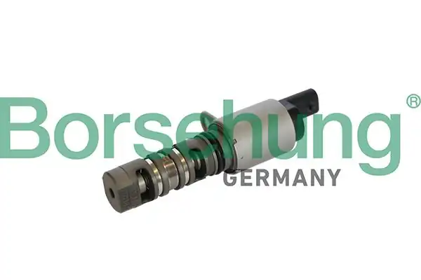 BORSEHUNG B11866 | Eksantrik Mili Kumanda Valfi Polo Golf7 A3 To Leon 1 2 1 4 TSI Cjza B Chpa Cxsa