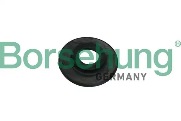 BORSEHUNG B18186 | Helezon Get Lastiği Seat Leon (Oem)