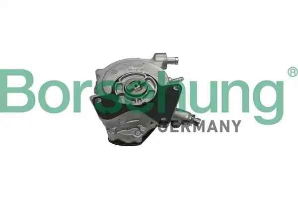 BORSEHUNG B18771 | Vakum Pompası T5 Touareg AXD Axe Bac 2 5 TDI 8prg7 02551 23 0