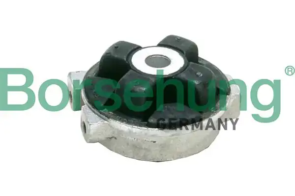 BORSEHUNG B19103 | Şanzıman Kulağı Passat A80 Febi01110