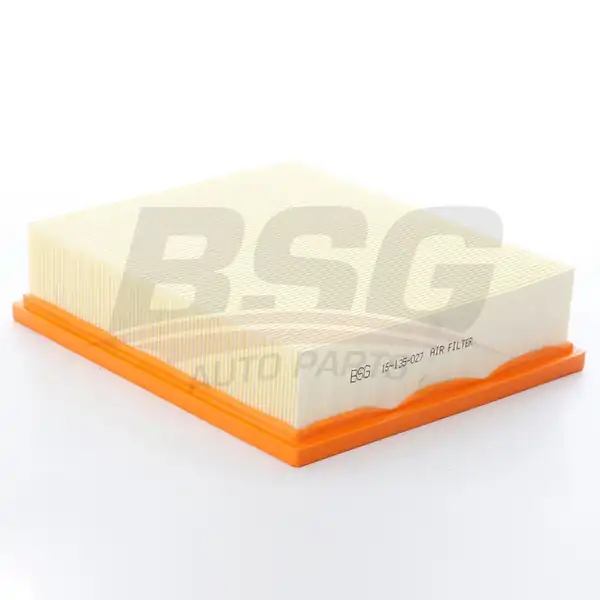 BSG 15-135-027 | Hava Filtresi Land Rover Range Rover Freelander Discovery II Bm 98 04 1571226