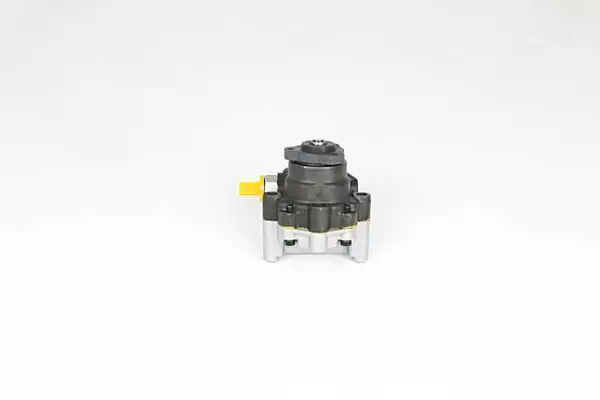 BSG 15-355-025 | Direksiyon Pompası Freelander 1 1 8 16 V 98 06