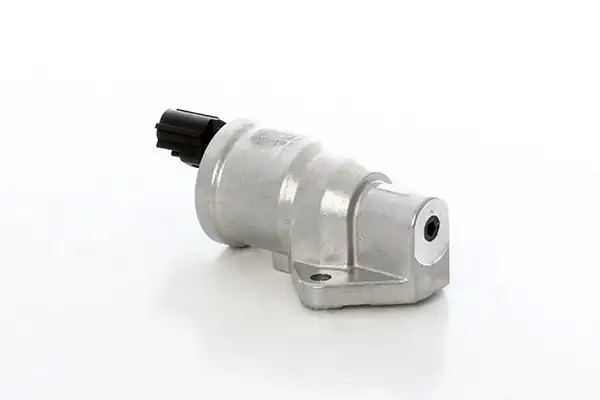 BSG 30-836-008 | Rolanti Ayar Valfi Fiesta Focus Bm 95
