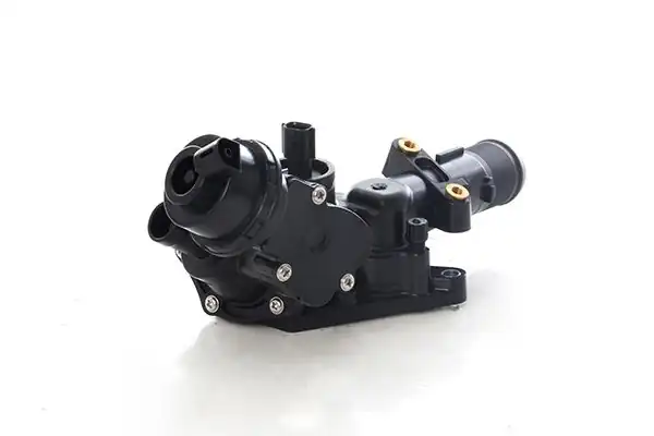 BSG 60-125-026 | Termostat 176-117-246-X156-415 Cıtan / Nissan M607-1.5 DCI 2012-2018