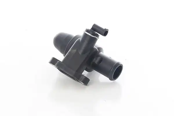 BSG 60-125-027 | Termostat  Smart 450-452 160 2002-2007