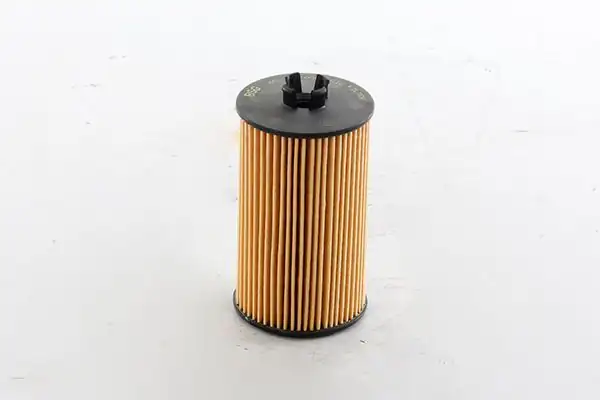 BSG 65-140-008 | Yağ Filtresi Astra G/H/J Corsa B/C/D/E Insignia/Mokka/Adam/Aveo/Cruze