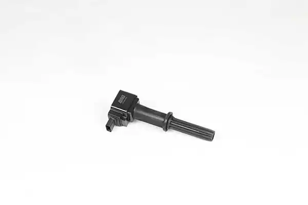 BSG 65-835-016 | Ateşleme Bobini Karl B10xe 15