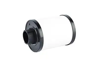 BSG 70-130-002 | Yakıt Filtresi Boxer III / Jumper III 2.2 HDI 06 -
