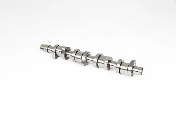 BSG 90-108-013 | Eksantrik Mili Caddy Passat Bls BMM Bmp 1 9 TDI 2 0 TDI 04