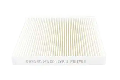 BSG 90-145-004 | Polen Filtresi E961li Karbonsuz Polo Cordoba Ibiza Fabia A1 A2 Bm 01