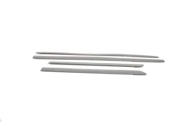 BSG 90-924-005 | Kapı Bandı Takım Golf5 Bm 04 09
