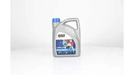 BSG 99-994-004 | Antifriz Bm Bm Bm